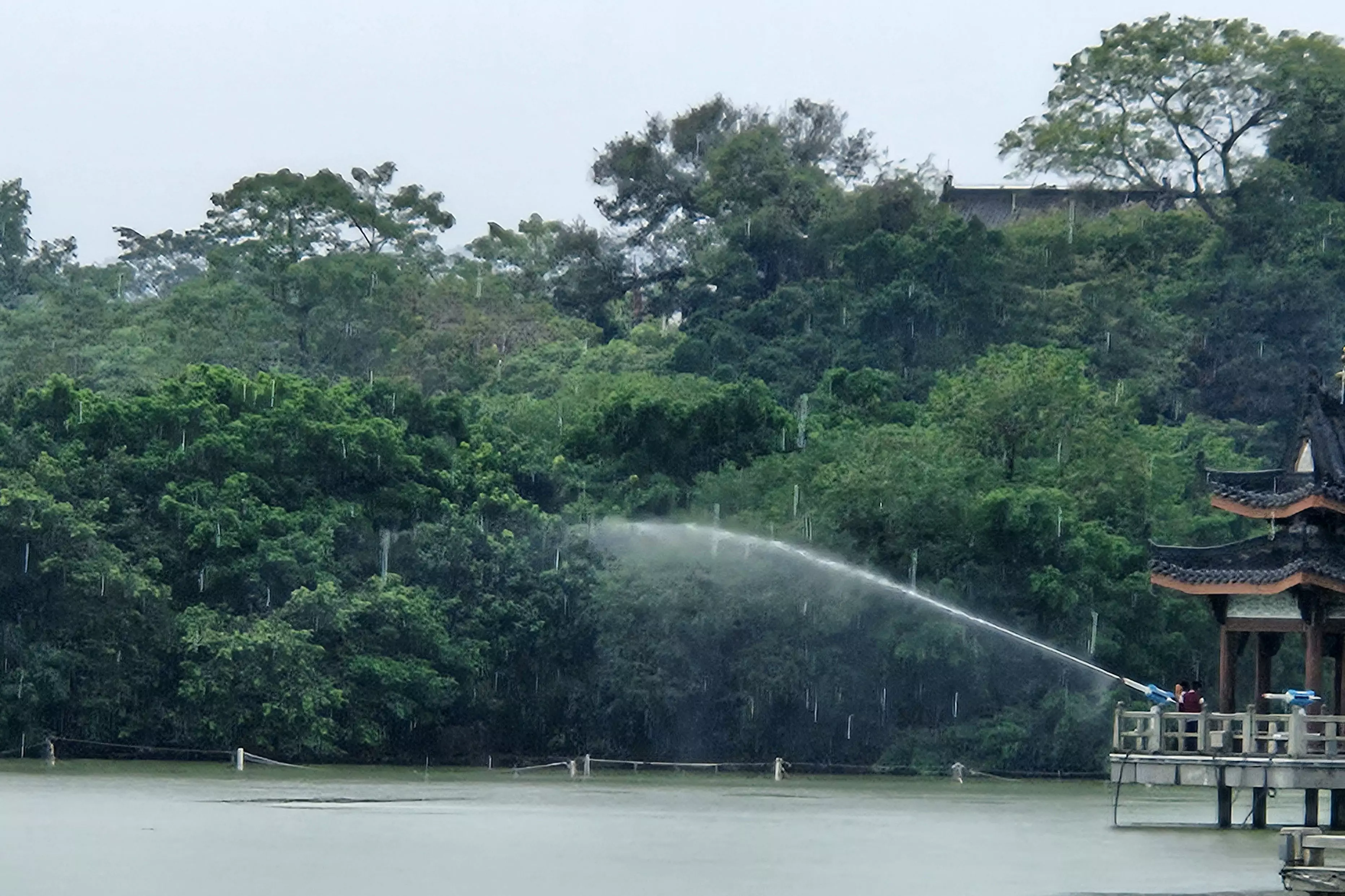 雨中玩耍的熊孩子